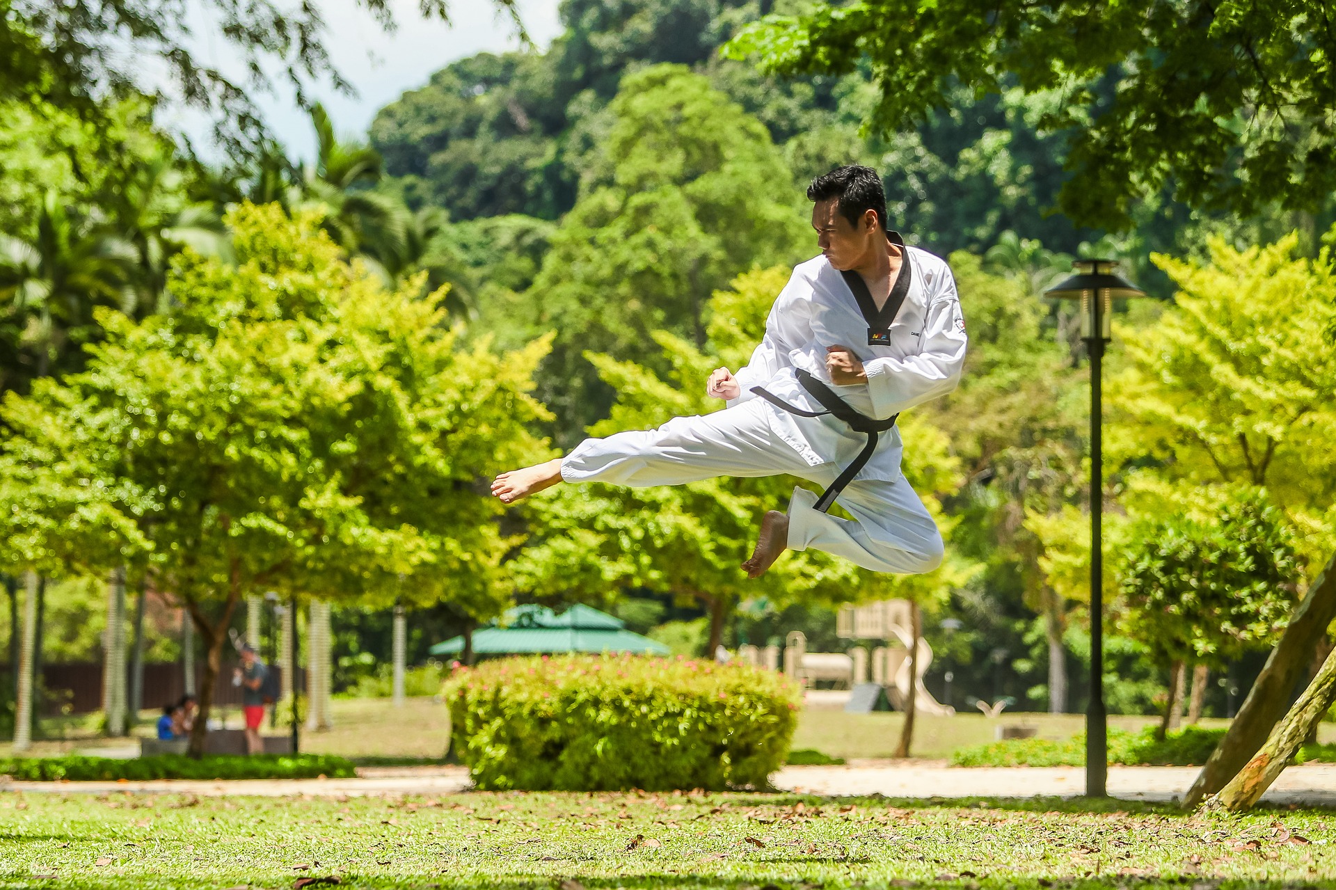 martial arts |Everyday Health