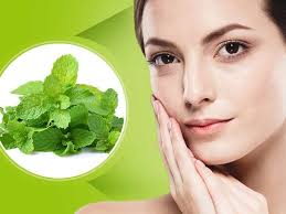 mint benefits for skin