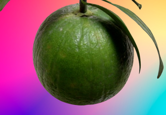 Green Malta Health Benefits For Total Wellness