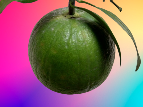 Green Malta Health Benefits For Total Wellness